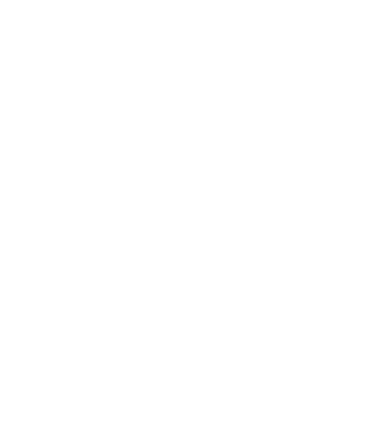 High and Low Cleaning Co white Logo